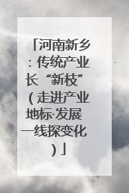 河南新乡：传统产业长“新枝”（走进产业地标·发展一线探变化）