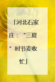 河北石家庄：“三夏”时节麦收忙
