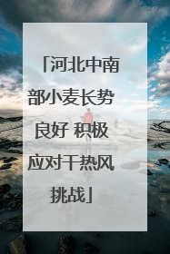 河北中南部小麦长势良好 积极应对干热风挑战