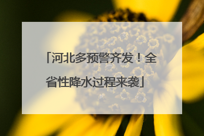 河北多预警齐发！全省性降水过程来袭