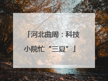 河北曲周：科技小院忙“三夏”