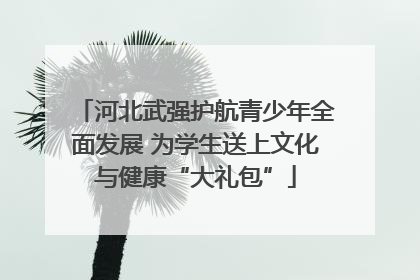 河北武强护航青少年全面发展 为学生送上文化与健康“大礼包”