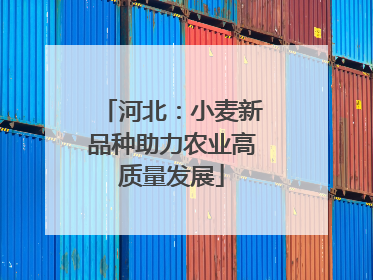 河北：小麦新品种助力农业高质量发展