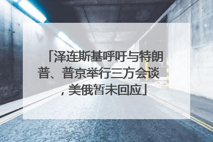 泽连斯基呼吁与特朗普、普京举行三方会谈，美俄暂未回应
