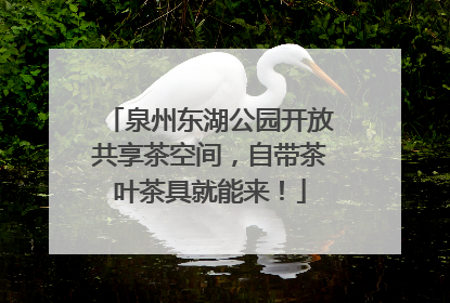 泉州东湖公园开放共享茶空间，自带茶叶茶具就能来！
