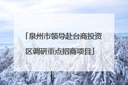 泉州市领导赴台商投资区调研重点招商项目