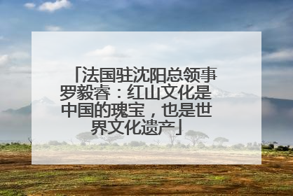 法国驻沈阳总领事罗毅睿：红山文化是中国的瑰宝，也是世界文化遗产