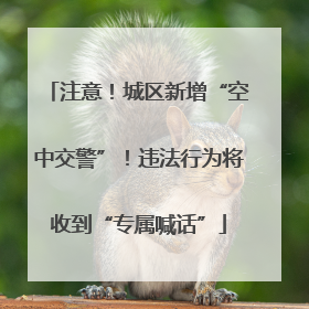注意！城区新增“空中交警”！违法行为将收到“专属喊话”