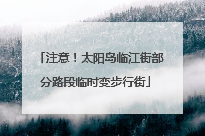 注意！太阳岛临江街部分路段临时变步行街