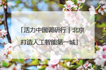 活力中国调研行｜北京打造人工智能第一城