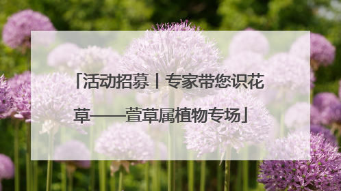 活动招募丨专家带您识花草——萱草属植物专场