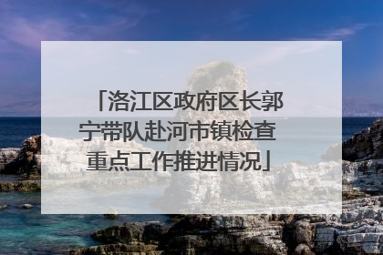 洛江区政府区长郭宁带队赴河市镇检查重点工作推进情况