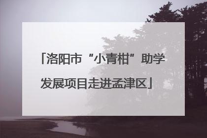 洛阳市“小青柑”助学发展项目走进孟津区