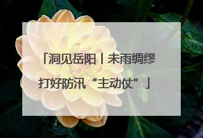 洞见岳阳丨未雨绸缪 打好防汛“主动仗”