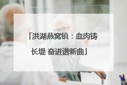 洪湖燕窝镇：血肉铸长堤 奋进谱新曲