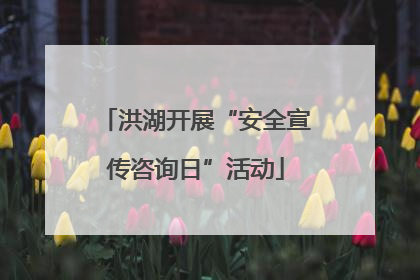 洪湖开展“安全宣传咨询日”活动