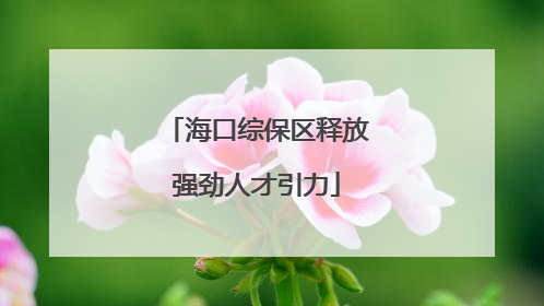 海口综保区释放强劲人才引力