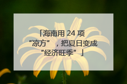 海南用 24 项 “凉方”，把夏日变成 “经济旺季”