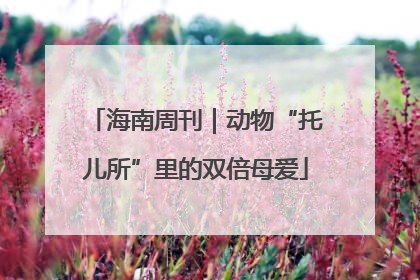 海南周刊｜动物“托儿所”里的双倍母爱