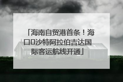 海南自贸港首条！海口⇌沙特阿拉伯吉达国际客运航线开通