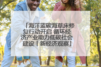 海洋蓝碳海草床修复行动开启 循环经济产业助力低碳社会建设丨新经济观察