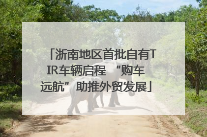 浙南地区首批自有TIR车辆启程 “购车远航”助推外贸发展