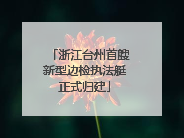 浙江台州首艘新型边检执法艇正式归建