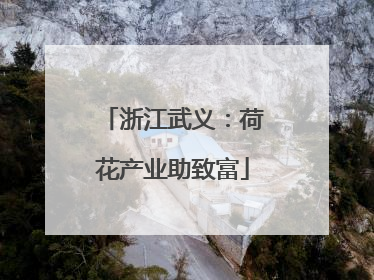 浙江武义：荷花产业助致富
