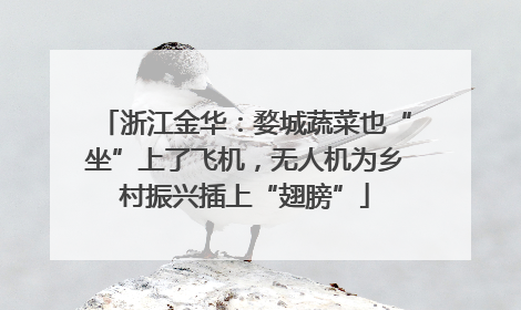 浙江金华：婺城蔬菜也“坐”上了飞机，无人机为乡村振兴插上“翅膀”