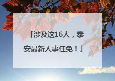 涉及这16人，泰安最新人事任免！