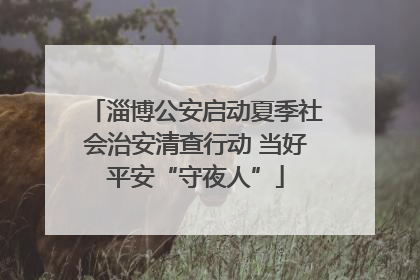 淄博公安启动夏季社会治安清查行动 当好平安“守夜人”