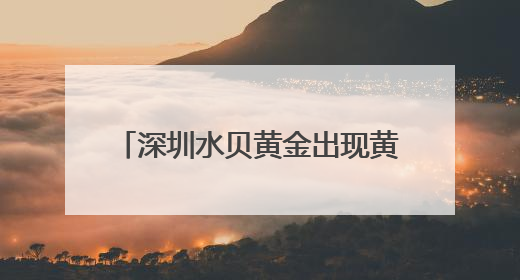 深圳水贝黄金出现黄金版Labubu？商家：只是相似，克重小，仅需几百元