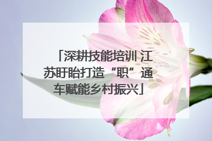 深耕技能培训 江苏盱眙打造“职”通车赋能乡村振兴