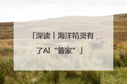 深读丨海洋精灵有了AI“管家”