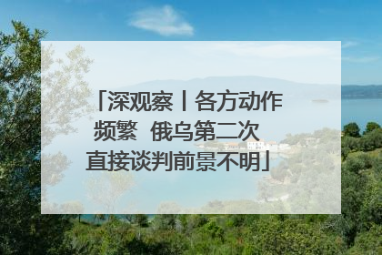 深观察丨各方动作频繁  俄乌第二次直接谈判前景不明