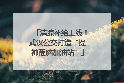 清凉补给上线！武汉公交打造“提神醒脑加油站”