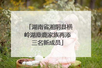 湖南省湘阴县横岭湖麋鹿家族再添三名新成员