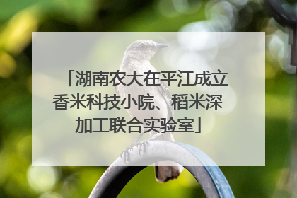 湖南农大在平江成立香米科技小院、稻米深加工联合实验室