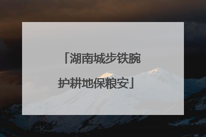 湖南城步铁腕护耕地保粮安