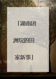 湖南团洲垸的田家新事