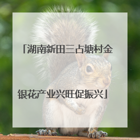 湖南新田三占塘村金银花产业兴旺促振兴
