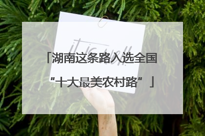 湖南这条路入选全国“十大最美农村路”
