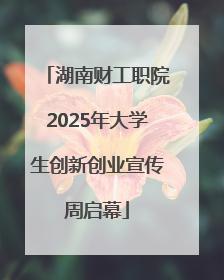 湖南财工职院2025年大学生创新创业宣传周启幕