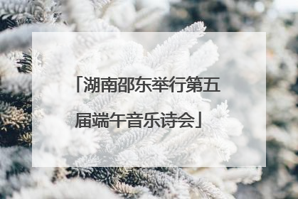 湖南邵东举行第五届端午音乐诗会