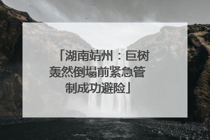 湖南靖州：巨树轰然倒塌前紧急管制成功避险