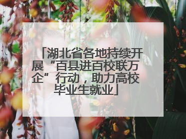 湖北省各地持续开展“百县进百校联万企”行动，助力高校毕业生就业