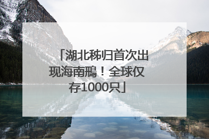 湖北秭归首次出现海南鳽！全球仅存1000只