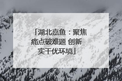 湖北嘉鱼：聚焦痛点破难题 创新实干优环境
