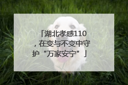 湖北孝感110，在变与不变中守护“万家安宁”