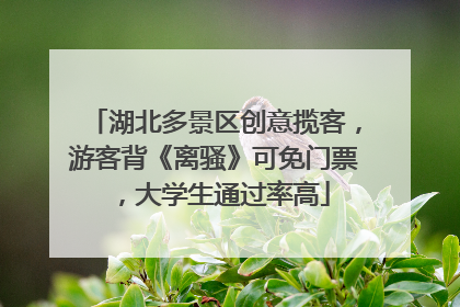 湖北多景区创意揽客，游客背《离骚》可免门票，大学生通过率高